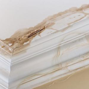 Water Damage Recovery